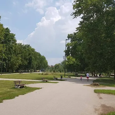 Двухкомнатная Квартира В Самом Центре Города Nis